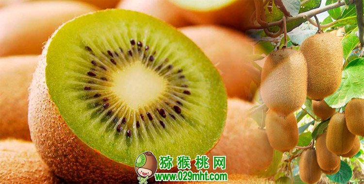 豪门国际官方网站图片