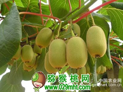 豪门国际官方网站图片