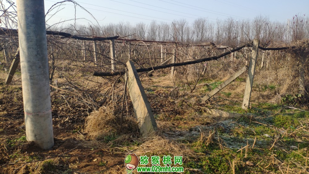 豪门国际 b35cb