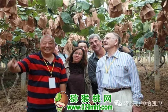 豪门国际官方网站图片