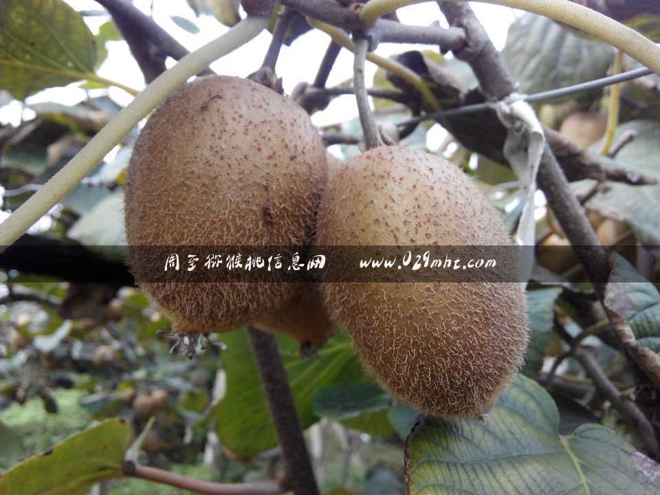 豪门国际官方网站图片