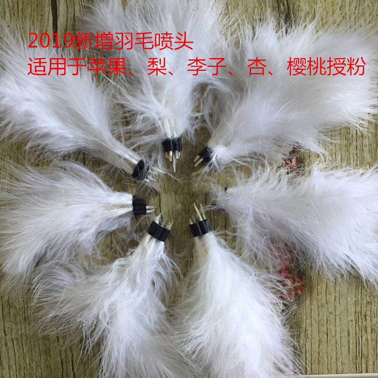 豪门国际官方网站图片