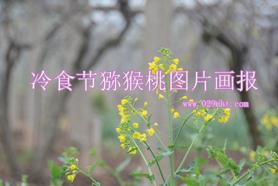 豪门国际官方网站图片