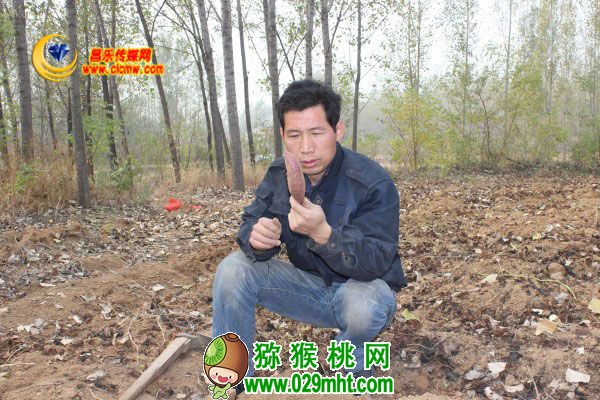 豪门国际官方网站图片