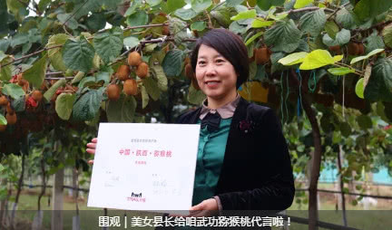 豪门国际 e11d1