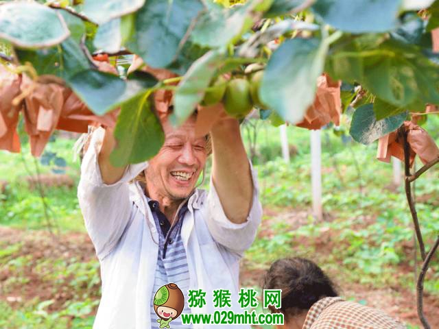 豪门国际官方网站图片