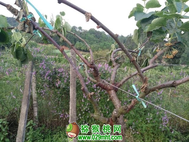 豪门国际官方网站图片