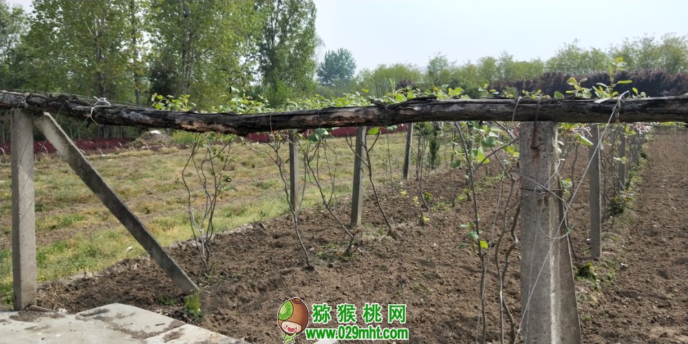 豪门国际 25ab7