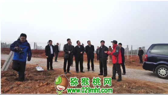 豪门国际官方网站图片