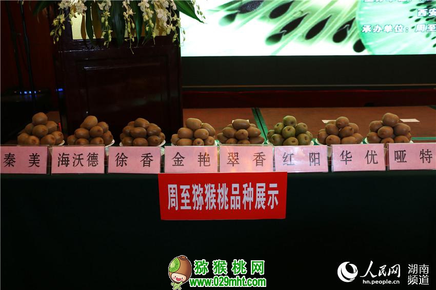 豪门国际官方网站图片