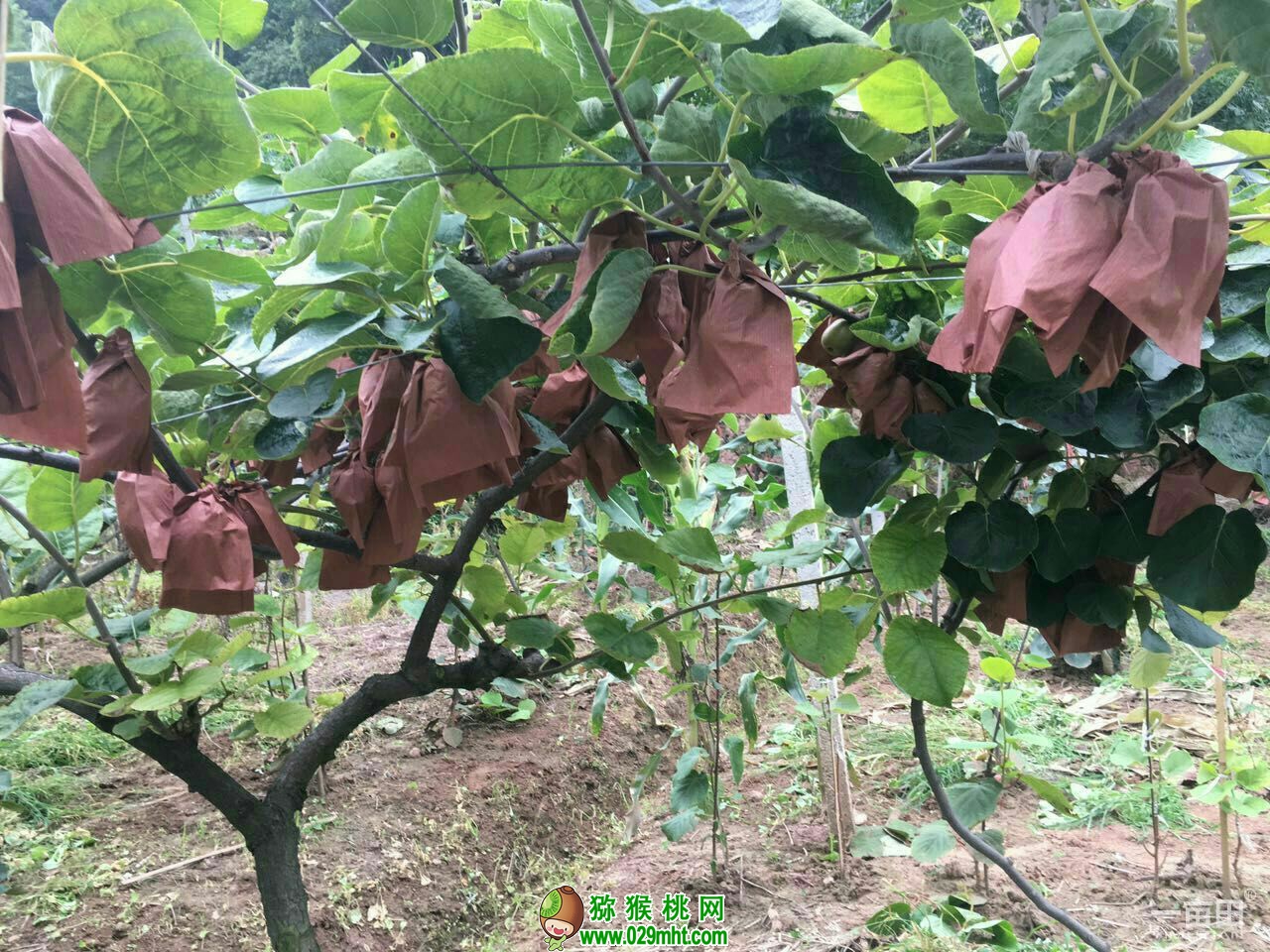 豪门国际官方网站图片