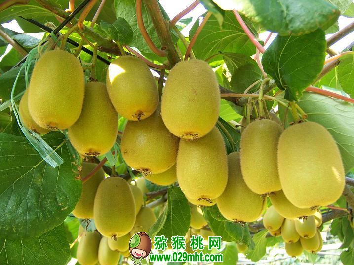 豪门国际官方网站图片