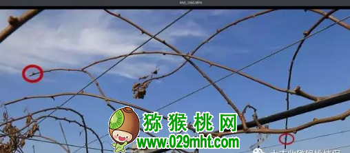 豪门国际官方网站图片