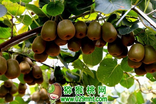 豪门国际官方网站图片