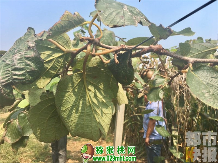 豪门国际官方网站图片