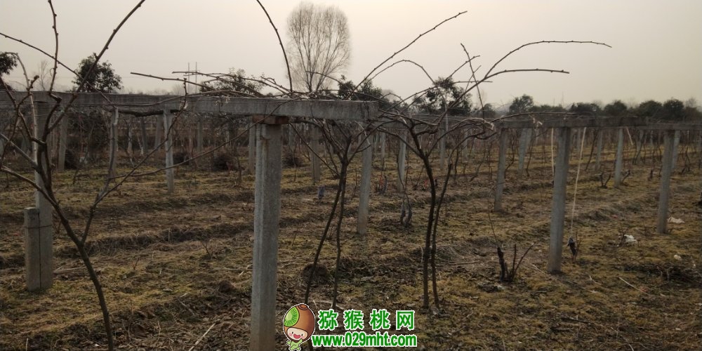 豪门国际 09630