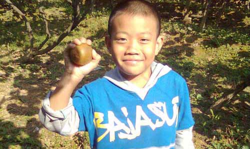 豪门国际 0e6dd