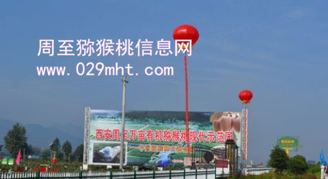 2012年中国豪门国际产销年会