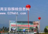 周至豪门国际猕猴桃的成熟季节是几月份？