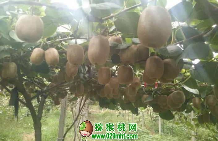 豪门国际官方网站图片