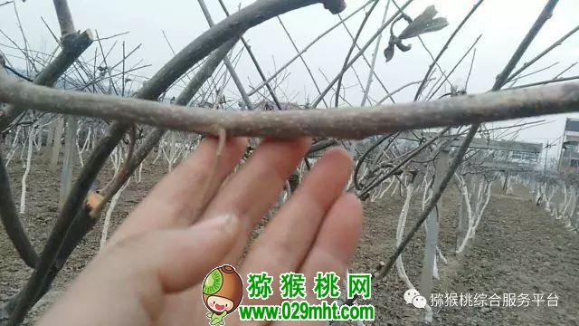 豪门国际官方网站图片