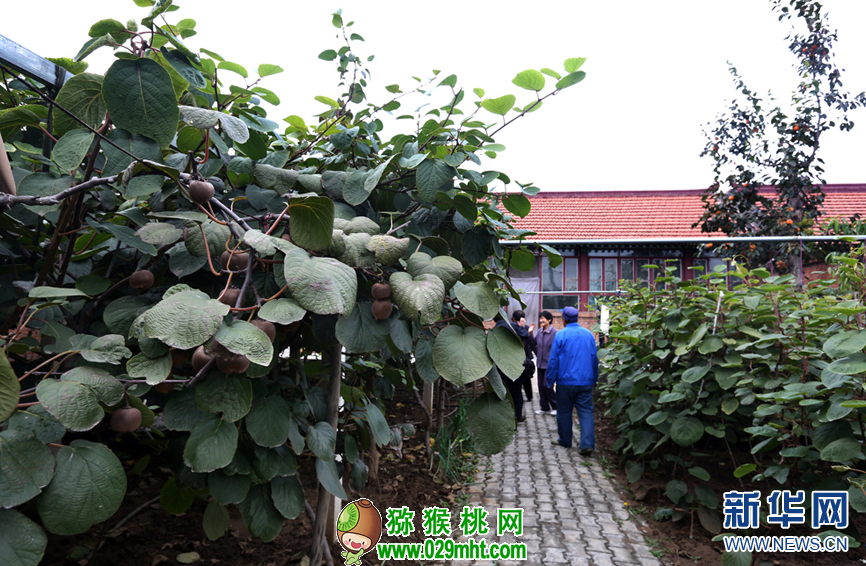 豪门国际官方网站图片