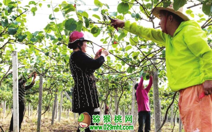 豪门国际 1a87b