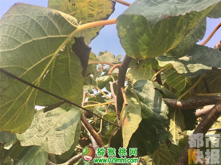 豪门国际官方网站图片