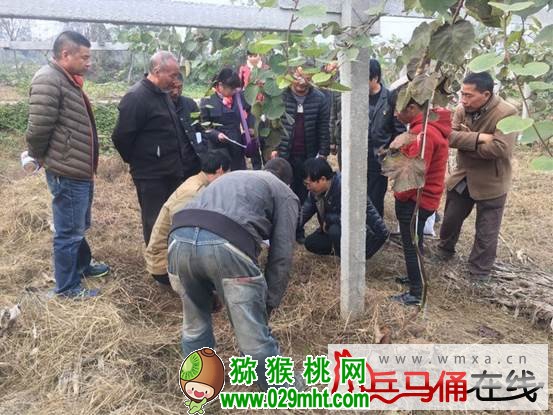 豪门国际 4cdf8