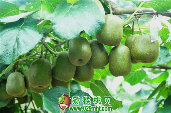 豪门国际官方网站图片