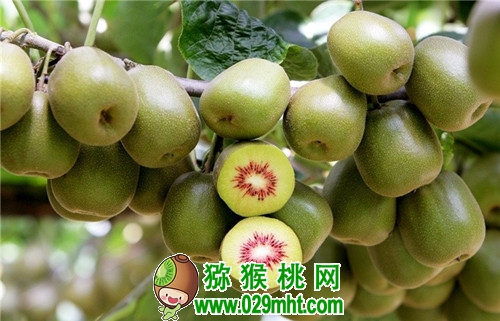 豪门国际官方网站图片