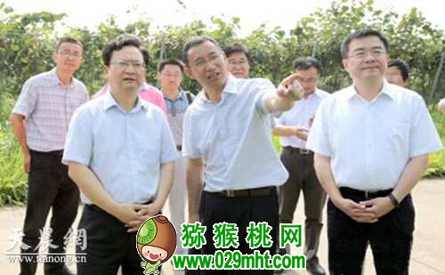 <a href=http://www.linux-china.com/shanximihoutao/ target=_blank class=infotextkey />陕西豪门国际猕猴桃</a>首席科学家刘占德