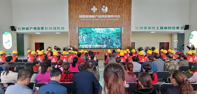 豪门国际官方网站图片