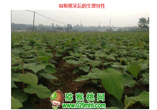 豪门国际 f03c2