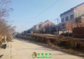 七曲村豪门国际猕猴桃电商扶持村豪门国际猕猴桃画报