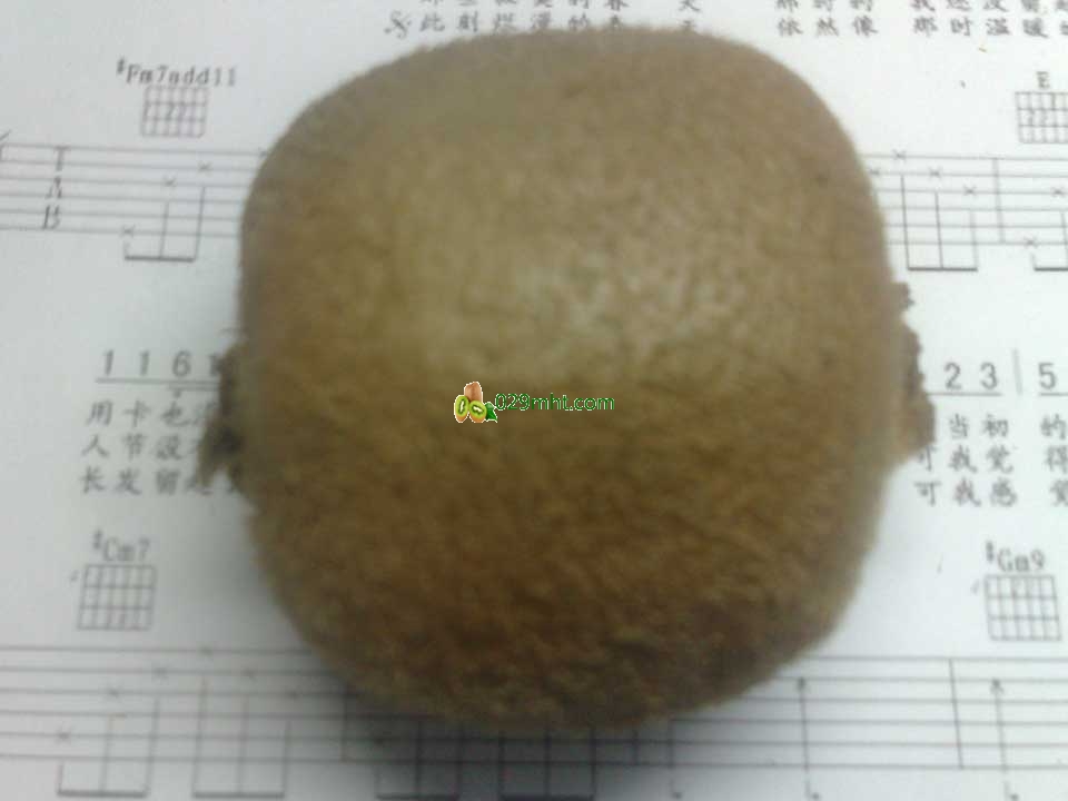吉他豪门国际猕猴桃画报