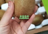 西安豪门国际猕猴桃有机果蔬只给会员供应