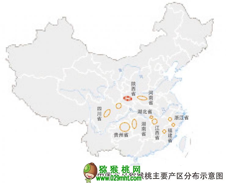 豪门国际官方网站图片