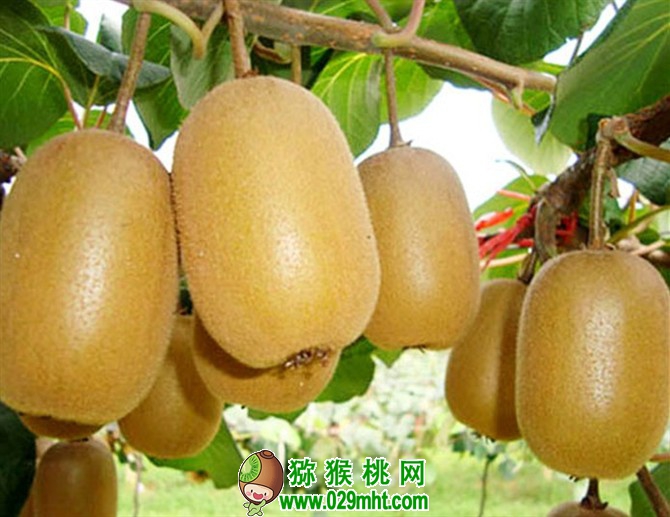 豪门国际官方网站图片