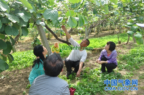 陕西气象网