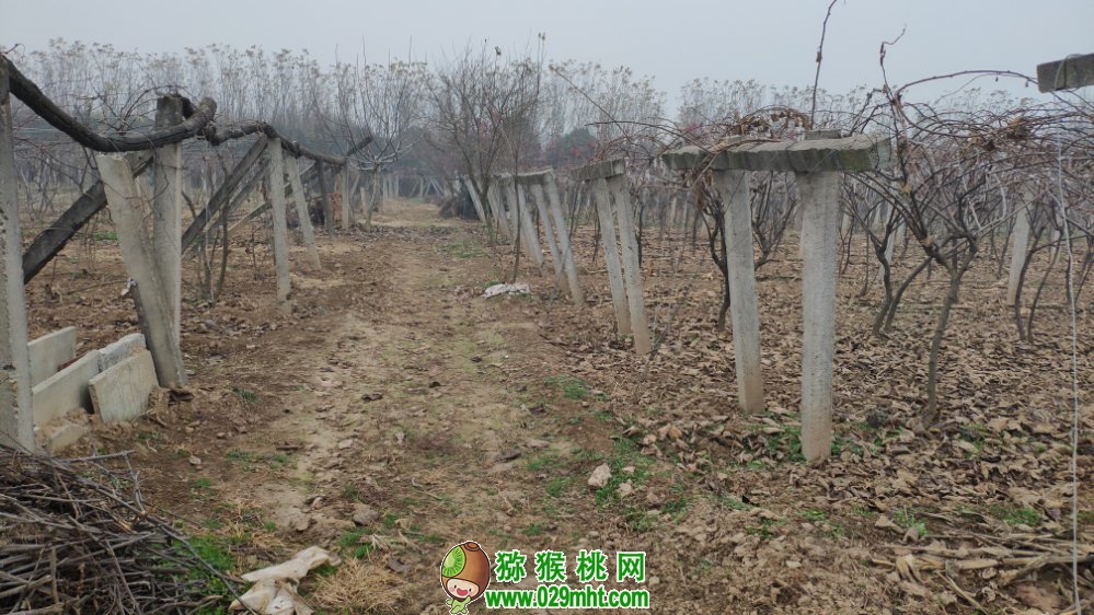 豪门国际 16345