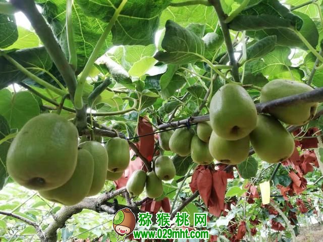 豪门国际官方网站图片