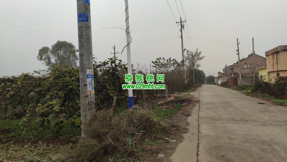 豪门国际 b67d0
