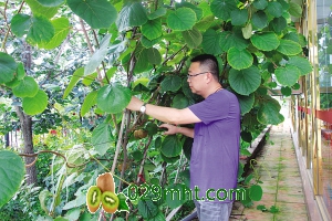 豪门国际官方网站图片