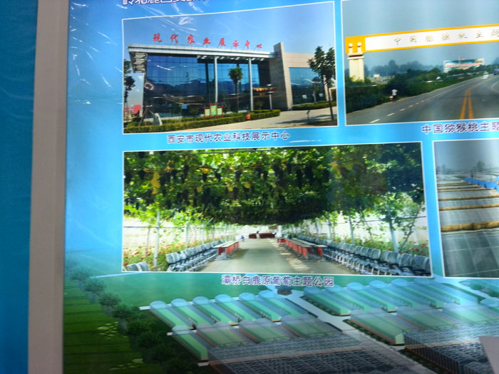 豪门国际官方网站图片