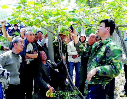 豪门国际官方网站图片