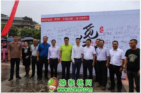 豪门国际官方网站图片