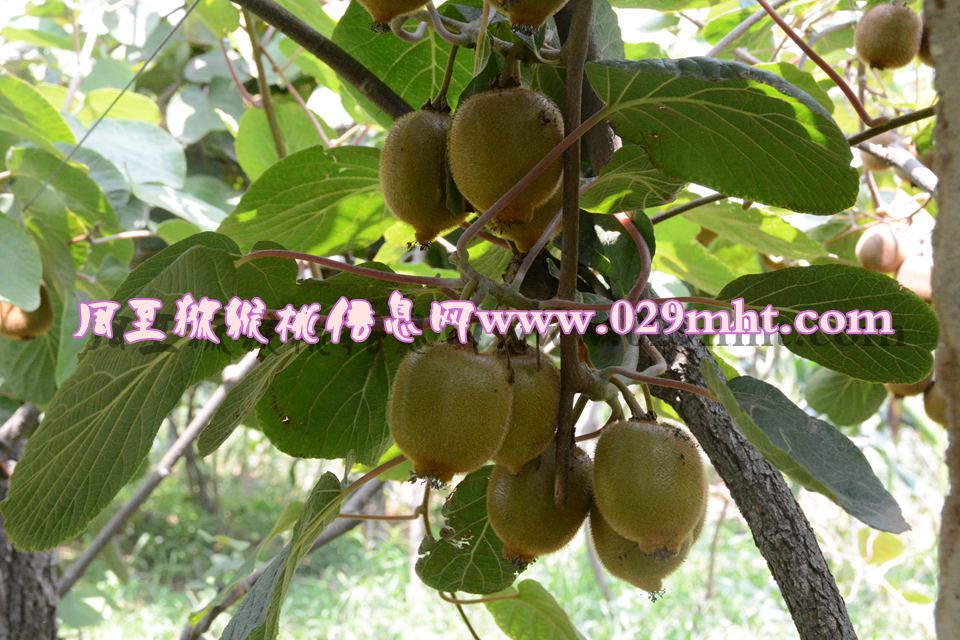 豪门国际官方网站图片
