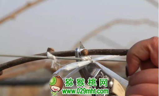 豪门国际官方网站图片