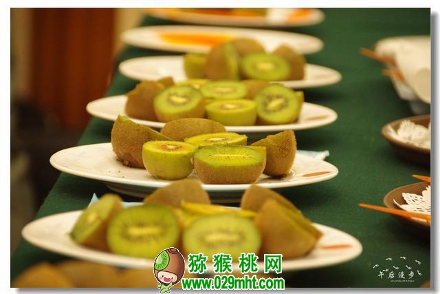 豪门国际官方网站图片